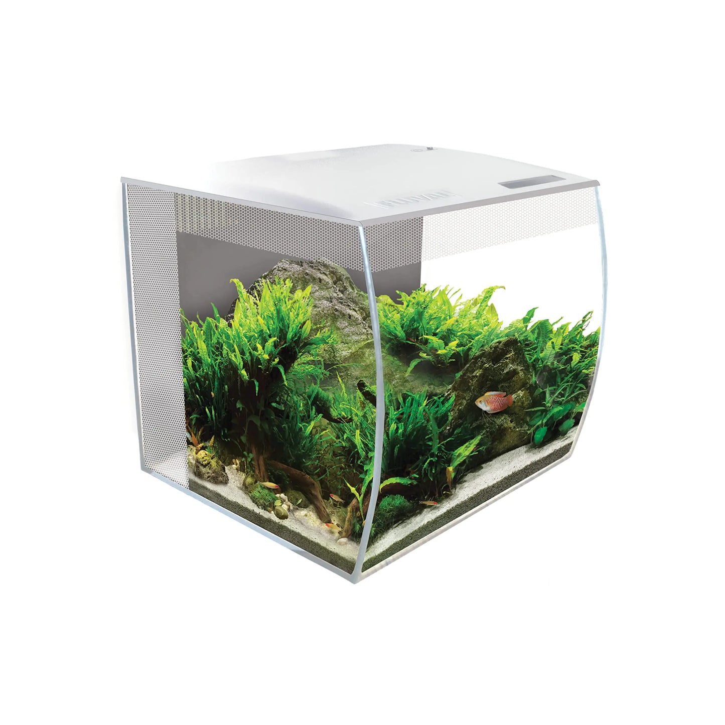 Fluval Flex 9 Aquarium Kit - Fish Tank for Fish & Plants - Comes with LED Lights Filtration System & More - 36" x 18" x 18" - 34 L 9 Gal. - White